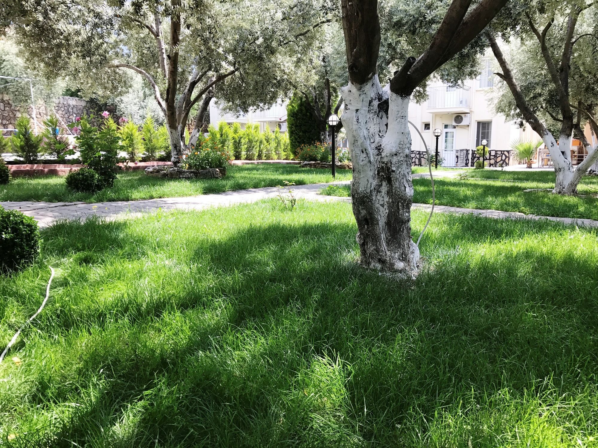 Doga Hotel Oludeniz Kültér fotó